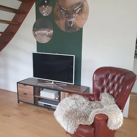 Boshuis 40 Vakantiehuis